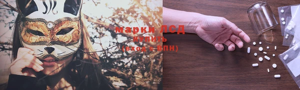 СК Надым