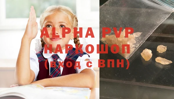 СК Надым