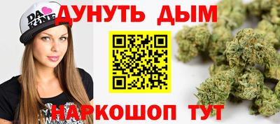 прущие грибы Абакан