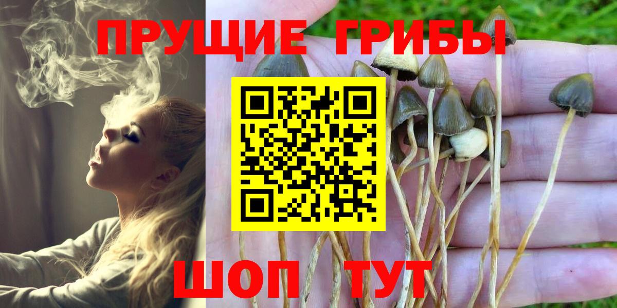 Галлюциногенные грибы MAGIC MUSHROOMS Алексеевка