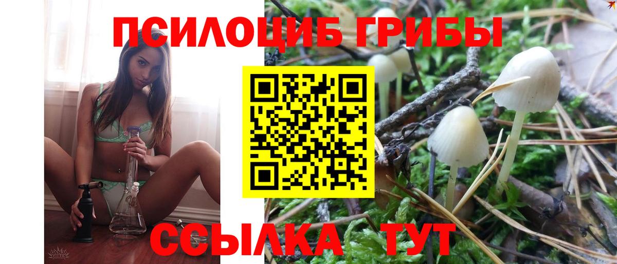наркота  Алексеевка  Псилоцибиновые грибы мицелий 