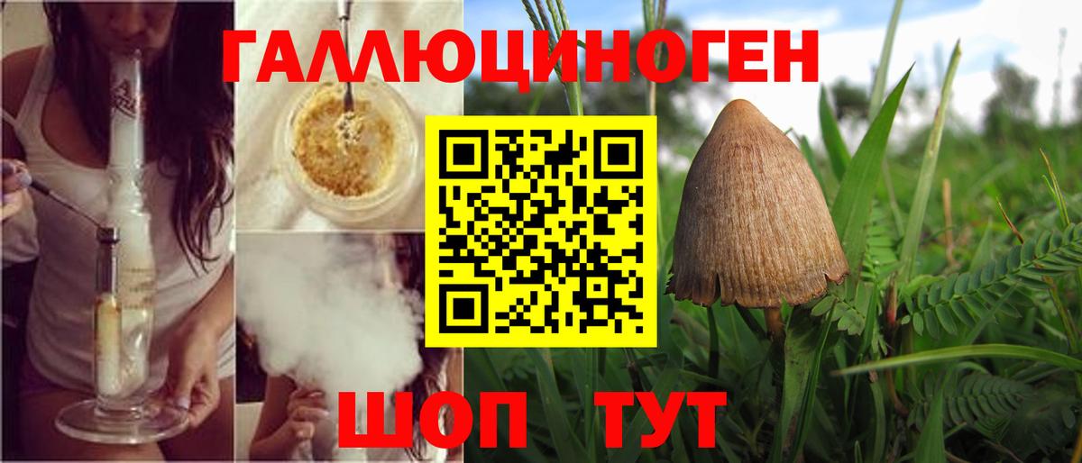 Галлюциногенные грибы мицелий Алексеевка