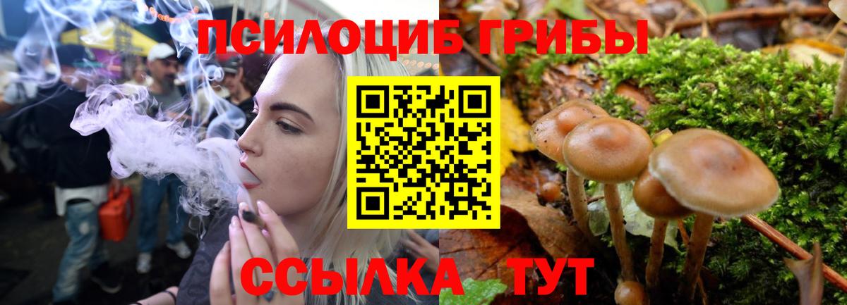 Алексеевка  Псилоцибиновые грибы Psilocybine cubensis  Вход с VPN 