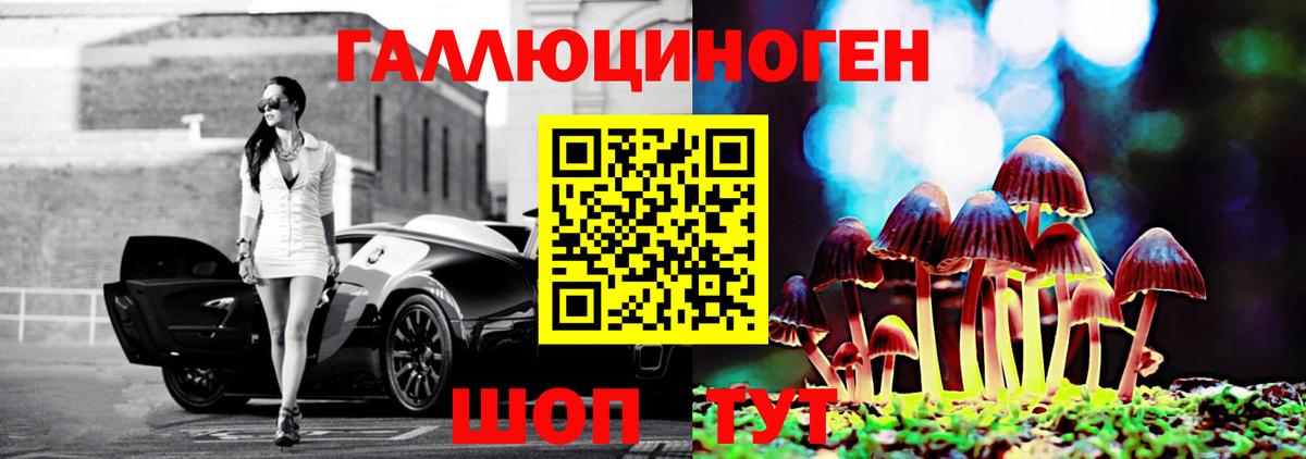 Алексеевка  Галлюциногенные грибы прущие грибы  Вход с VPN 